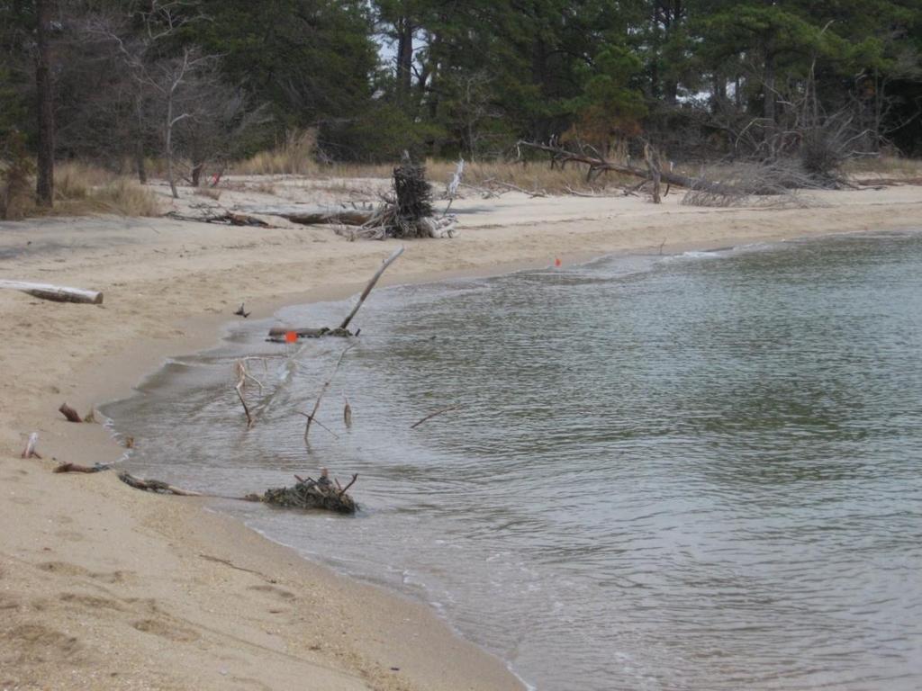 2010 Combating Erosion at Mosquito Point A Report Generated by the Students of EVST 305: