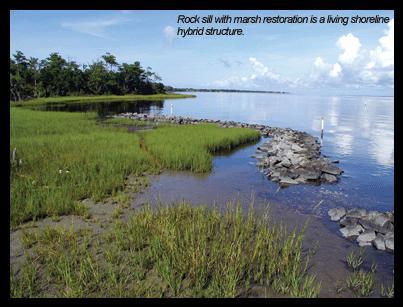 environmentally friendly solution to the erosion problem at Mosquito Point. Figure 9. Another example of a living shoreline showing low revetment (rock sill) in combination with marsh grasses.