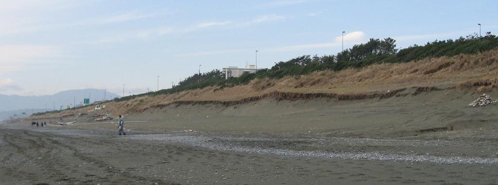 Considering the fact that the other side of Oiso fishing port kept fine sandy beach even after the event, this observed severe erosion should be mainly due to unbalance of westward longshore sediment