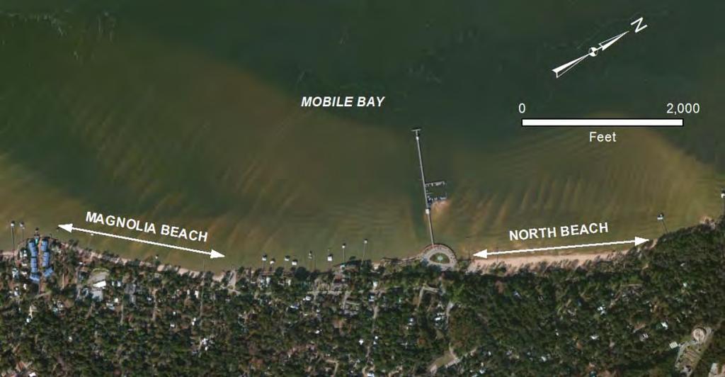 Introduction Purpose of the Report The purpose of this report is to develop recommendations for consideration by the City of Fairhope for the management of its beaches to prevent erosion, establish