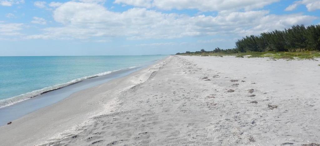 Long Term Program Success Captiva Island's beach projects are designed to renourish the entire island each time a