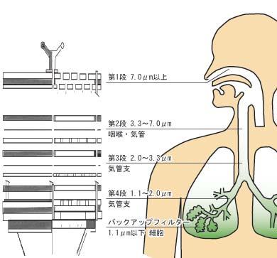 Human Impact of Dust depending on Size Dust goes into the human body through the respiratory airway system, and has various impacts.