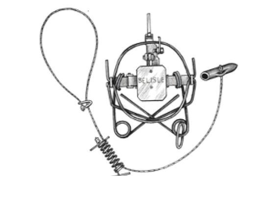 FOOTSNARE / JAW TYPE TRAP Trap Set Details to Avoid Injuries Footsnares Jaw type trap