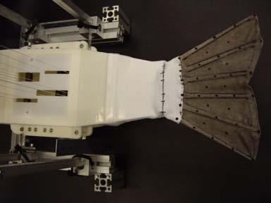 A caudal fin robot Symmetrical flat