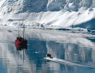 Greenland Halibut Product Description: Wild caught, frozen Greenland halibut.