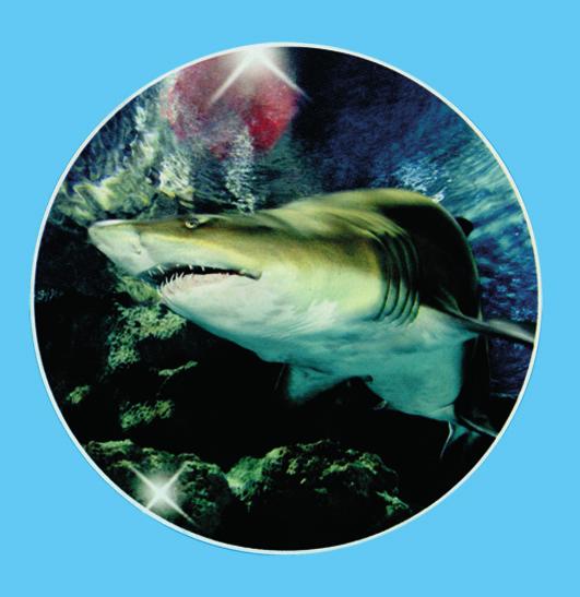 Our moving walkway carries you along the length of one of the world s longest aquatunnels, where you re guaranteed to see more types of shark than anywhere else in the UK.