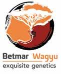 BETMAR WAGYU HERD ID BET Betmar Wagyu utilises top performing genetics from around the world to provide high quality breeding cows and bulls for the production of high value calves.