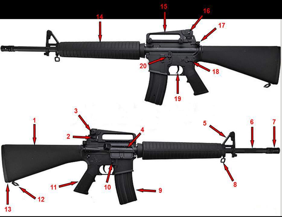 1-8. You know how to use the rifle safely. Before handling a rifle, learn how it operates. Know how to safely open and close the action and remove any ammunition from the rifle or magazine.
