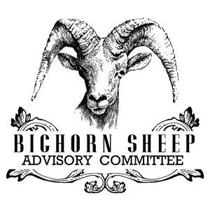 These recent efforts have focused primarily on the capture and translocation of free-ranging bighorns to either supplement populations with few sheep, or to introduce bighorns back into historic