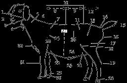 Supplemental Diagram Identifying parts of a Market Goat Ages 9 11 Complete 10 labels.