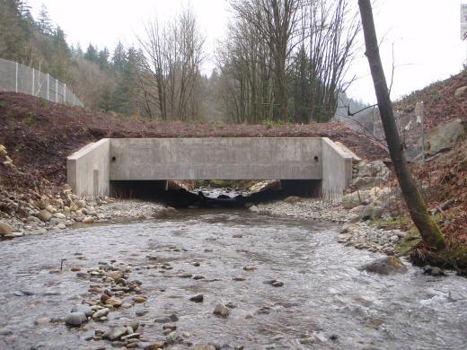 Fish Passage Program HQ Hydraulics Deliverables to Region 60% Design Scour Analysis (Data received from Bridge/Geotech) Substructure elevations determined based on substructure type and scour depth
