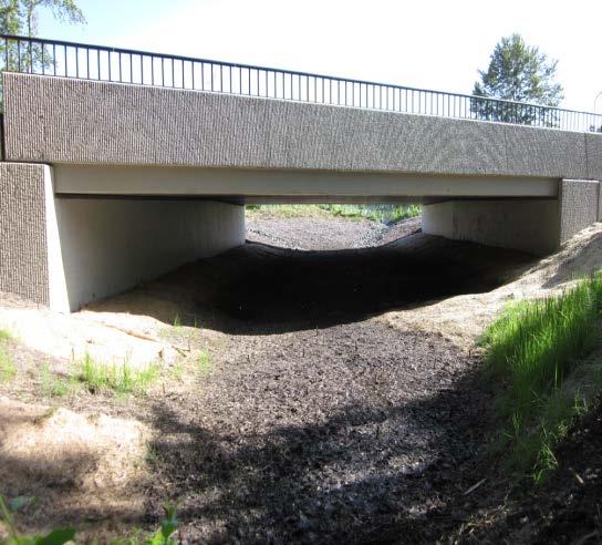 In 2013, WSDOT constructed a small bridge on SR 11 with a new stream alignment near