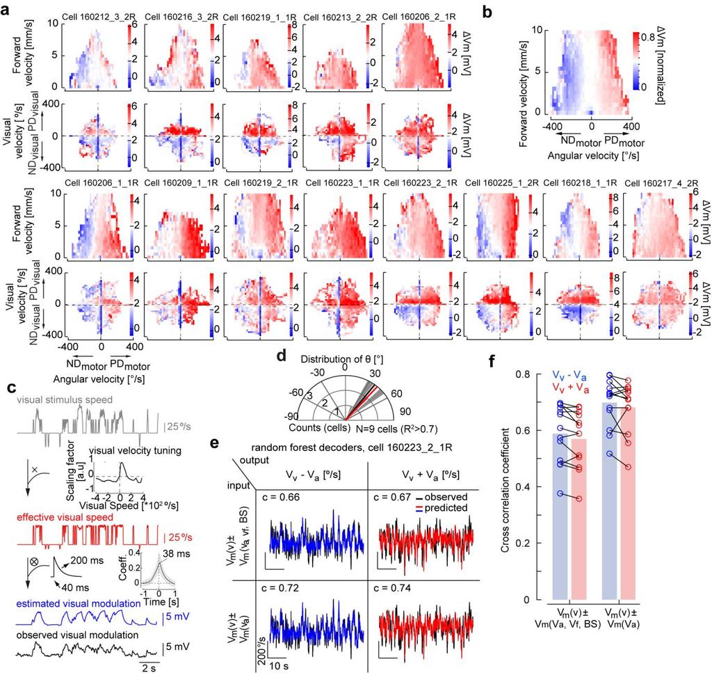 Supplementary Figure 10 Visuomotor interactions in HS cells (a) Top: Velocity-tuning maps under replay visual stimulation per cell. Bottom, visual and angular velocity maps per cell.