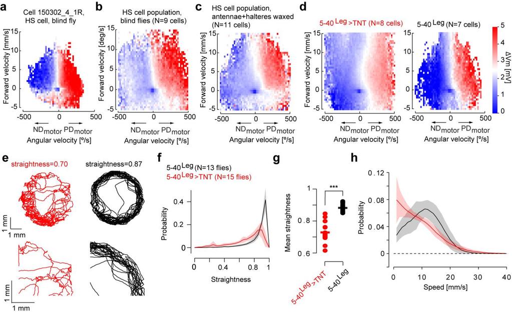 Supplementary Figure 6 Walking-specific signals are independent of vision, are not coupled to the movement of antennae or halteres, and do not depend on the synaptic activity of leg mechanosensory