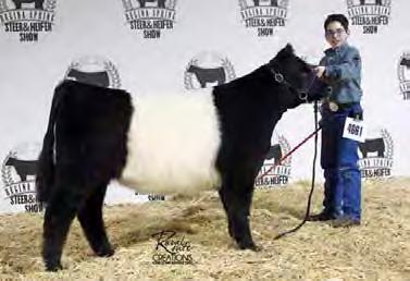 15/15 WW: 705 lbs AOD: 3 CE 72.1 BW 2.1 WW 53 YW 99 M 20 TM 46 Red Ace is a tan bull that is long bodied, good haired and larger framed. Betsy, Will s Belted Galloway 4-H Heifer Project.