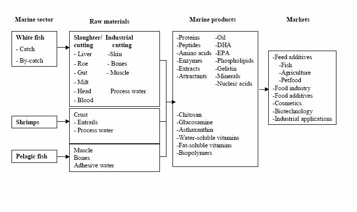Utilization of marine by-products (Rubin, 1998)