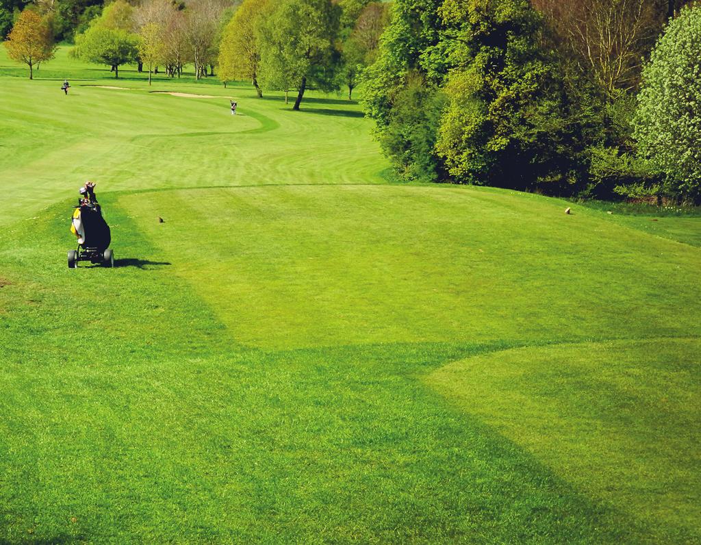 Severn Day Package Coffee and bacon rolls on arrival 9 holes on the beautiful Tewkesbury Park course, which meanders through the grounds of Light lunch served in either Greens or the main hotel