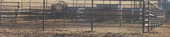 Loading Chute and Tub Roping Arena Cows are usually calved out on the green grass, but the ranch has excellent