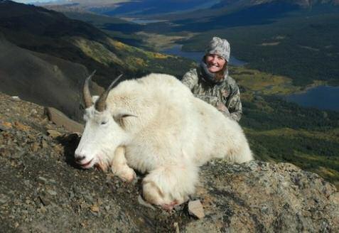 Northwestern British Columbia Mountain Goat Hunt #19 This exclusive guiding area is located at the headwaters of the Findlay River, and is accessed only by floatplane.