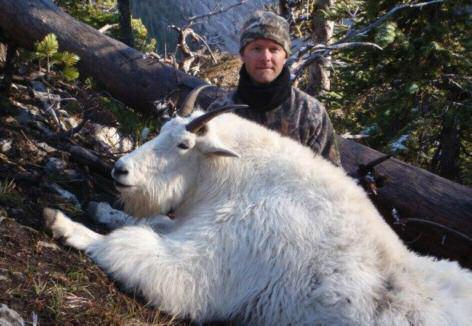 Goats here are on a limited quota (guaranteed tag for non-residents), so please book early. This hunt combines well with either elk six point minimum, in Sept.