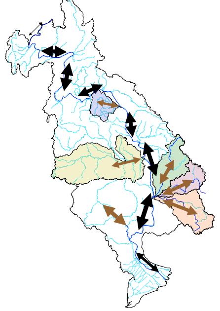 30 Drivers of the fisheries production Migrations Combination of species migration maps and of catches basinwide The area between Phnom Penh and Stung Treng is