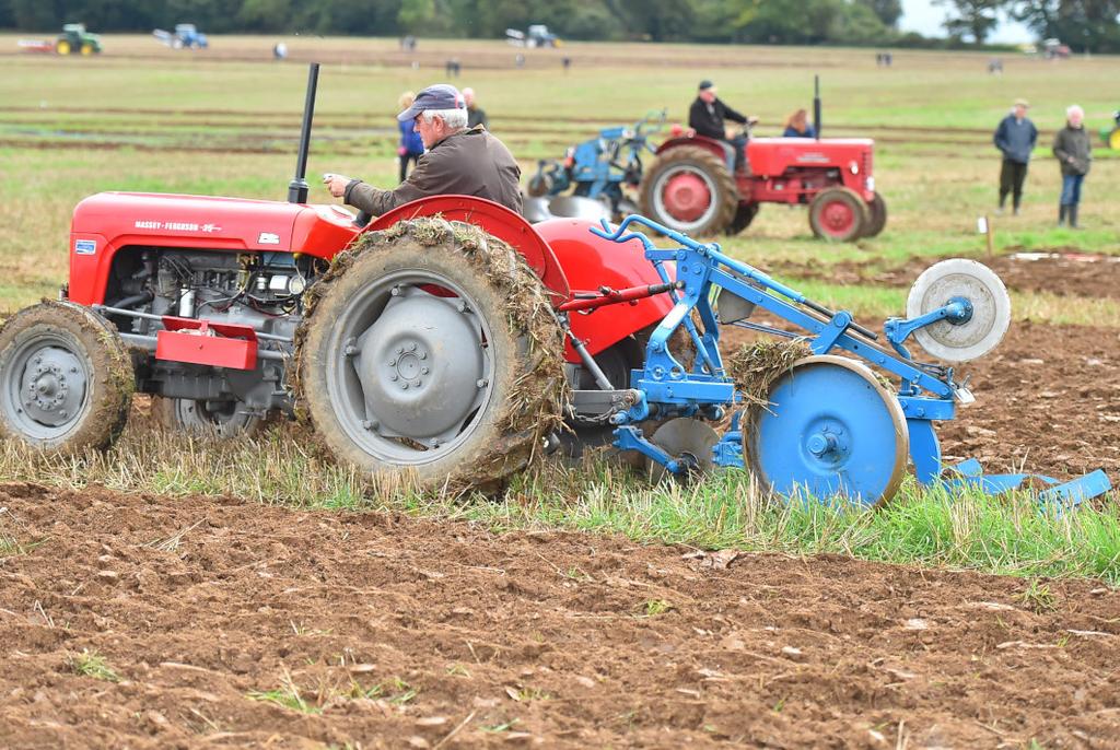 Ploughing Match & Country