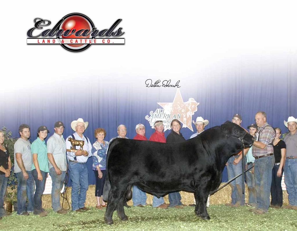 Grand Champion All-American Futurity Champion Bull A family operation with the integrity and values needed to gain your respect!