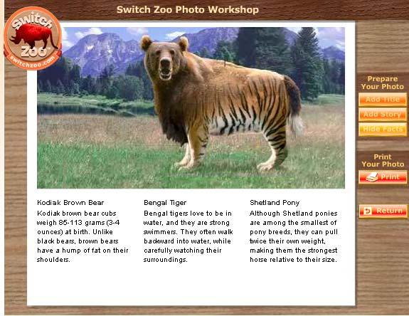 10. You will then see a photograph with information about your new animal below. 11. Now use the Print Screen feature to capture your picture and paste it into MS Word. a. Press the Function key Fn and the Print Screen key Prt Scr at the same time.