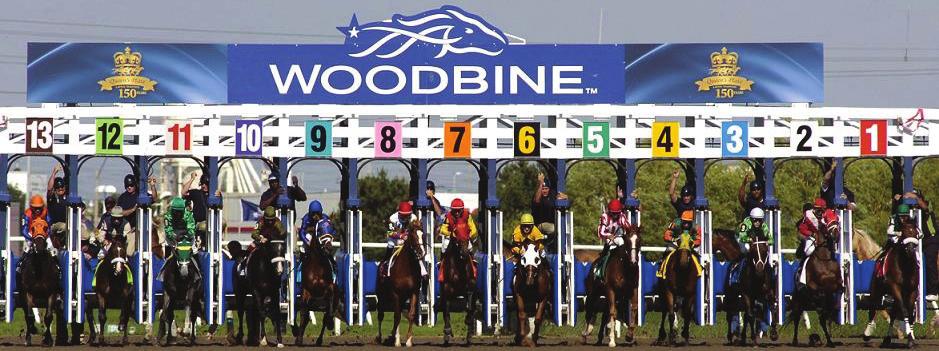 HOW TO BET THE QUEEN S PLATE SUPERFECTA by Ed DeRosa The last time bettors had an opportunity to wager on a superfecta with 16 wagering interests in 20-cent increments was the 2011 Pattison Canadian