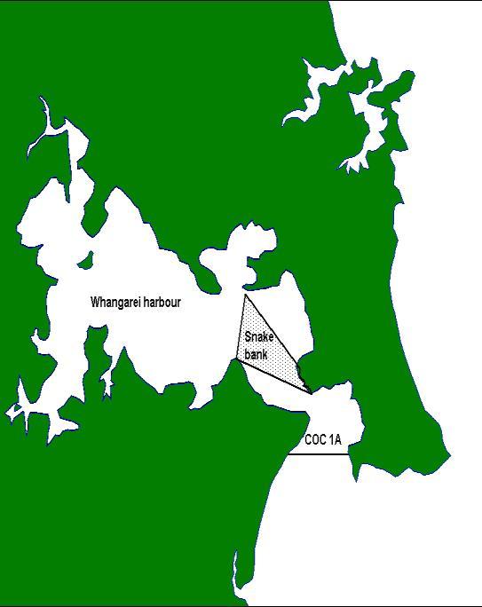 PIPI (PPI) PPI (PPI 1A) Mair Bank (Whangarei Harbour) (Paphies australis) Pipi 1.