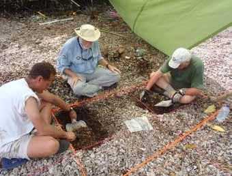 Tom King, onshore archaeological work focused on the Seven Site, the remote spot on the island s southeast end that best matches the description of where the partial skeleton of a castaway was found