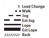 Ranch Riding - Pattern 1 1. Walk 2. Jog 3. Extend the jog,at the top of the arena,stop 4. 360 turn to the left 5. Left lead 1/2 circle, lope to the center 6. Change leads (simple or flying) 7.