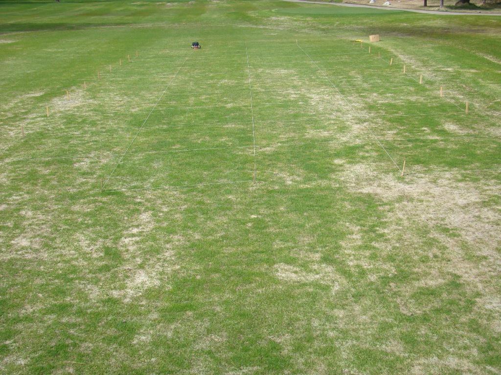 Figure 14. Snow mold fungicide treatments at the Whitetail Golf Club.