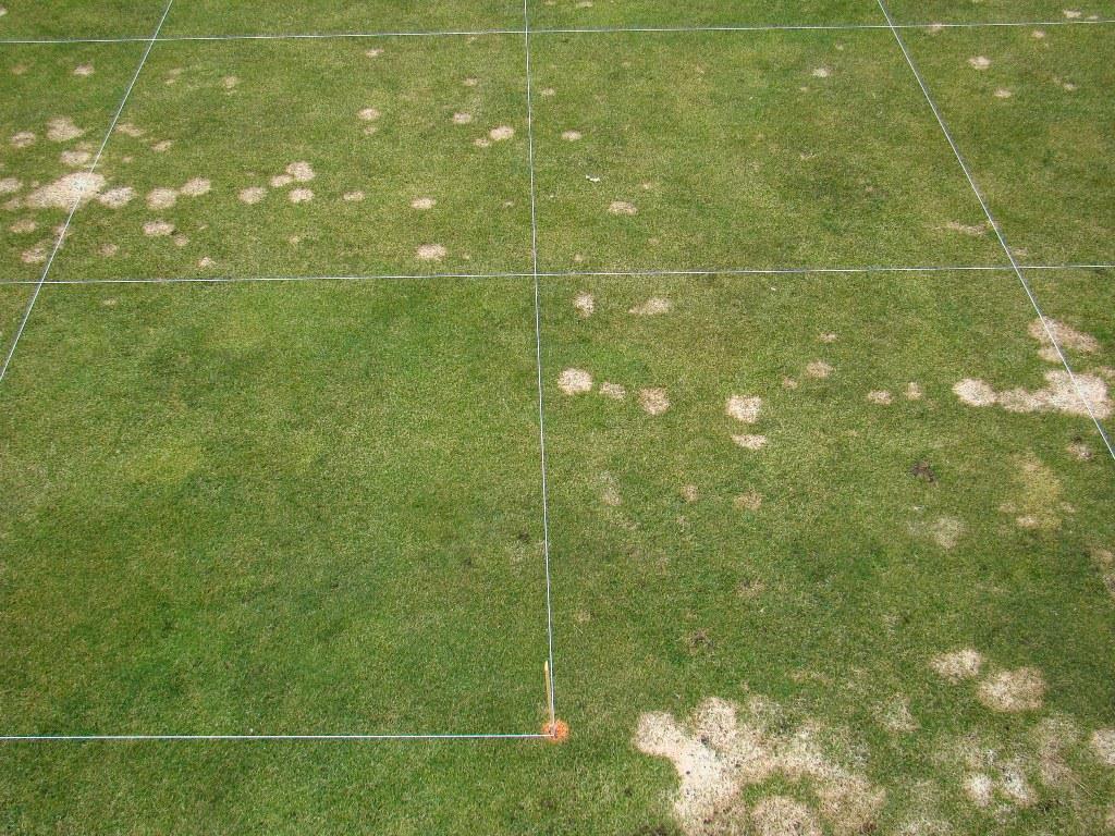 Figure 2. Snow mold fungicide treatments at the Chewelah Golf and Country Club. Chewelah, WA.