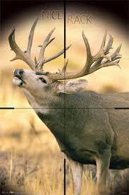 HUNTING VS SLAUGHTER Consider deer hunting vs Cattle slaughter A clean shot results in a buck that dies within minutes of being shot in the heart or lungs, after running less than 100 yards A hunter