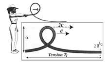 How does the wave travel Energy is transmitted down the rope Each little segment of rope at position x has some mass m(x), and moves at a