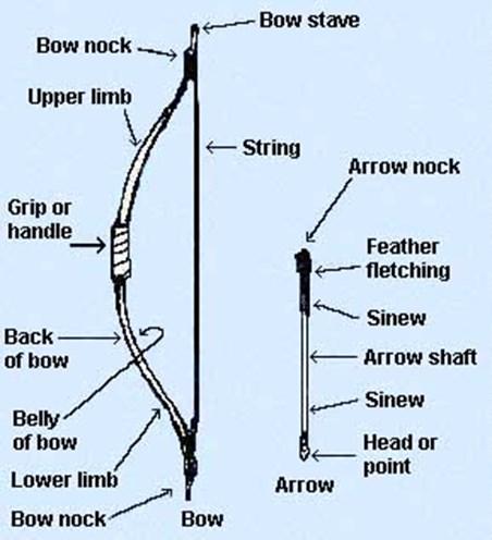American Indians did not always have the bow and arrow. It was not until about A.D. 500 that the bow and arrow was adopted in Iowa some 11,500 years after the first people came to the region.