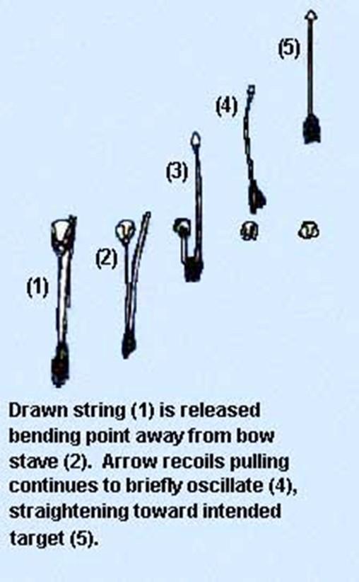 The height and strength of the archer determines the ideal draw weight of the bow. A combination of the length of draw and the draw weight of the bow determines the cast (propelling force) of the bow.