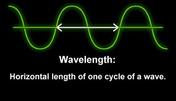 Seismic Waves! P waves! S waves!