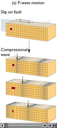 direction that wave travels, produces compression/dilatation cycle!