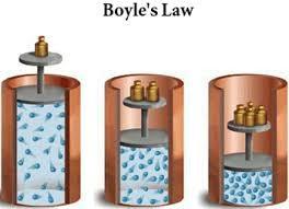 Boyle s Law Measured the volumes of gases at different pressures When the pressure of a gas at constant temperature is, the volume of the
