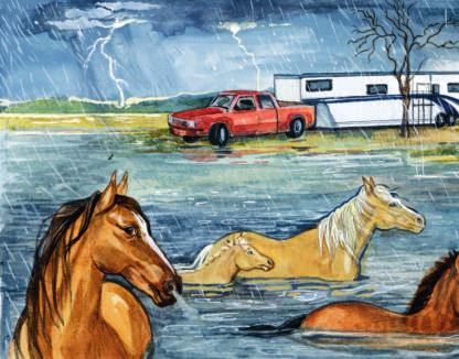 On March 7, 2001, the Coast Guard rescued twelve horses from a flood on a farm in Monroe, Louisiana.