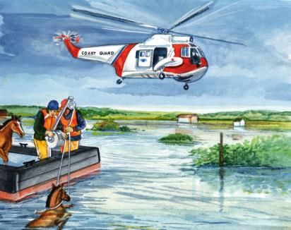 The Coast Guard flew into the storm to get to the horses.