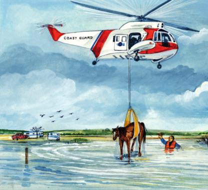 The Coast Guard used helicopters to save the big horses. First, they flew above the horses.
