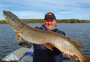 That said, let s not forget about our other species we also boast great opportunities for toothy pike and mammoth lake trout as well!
