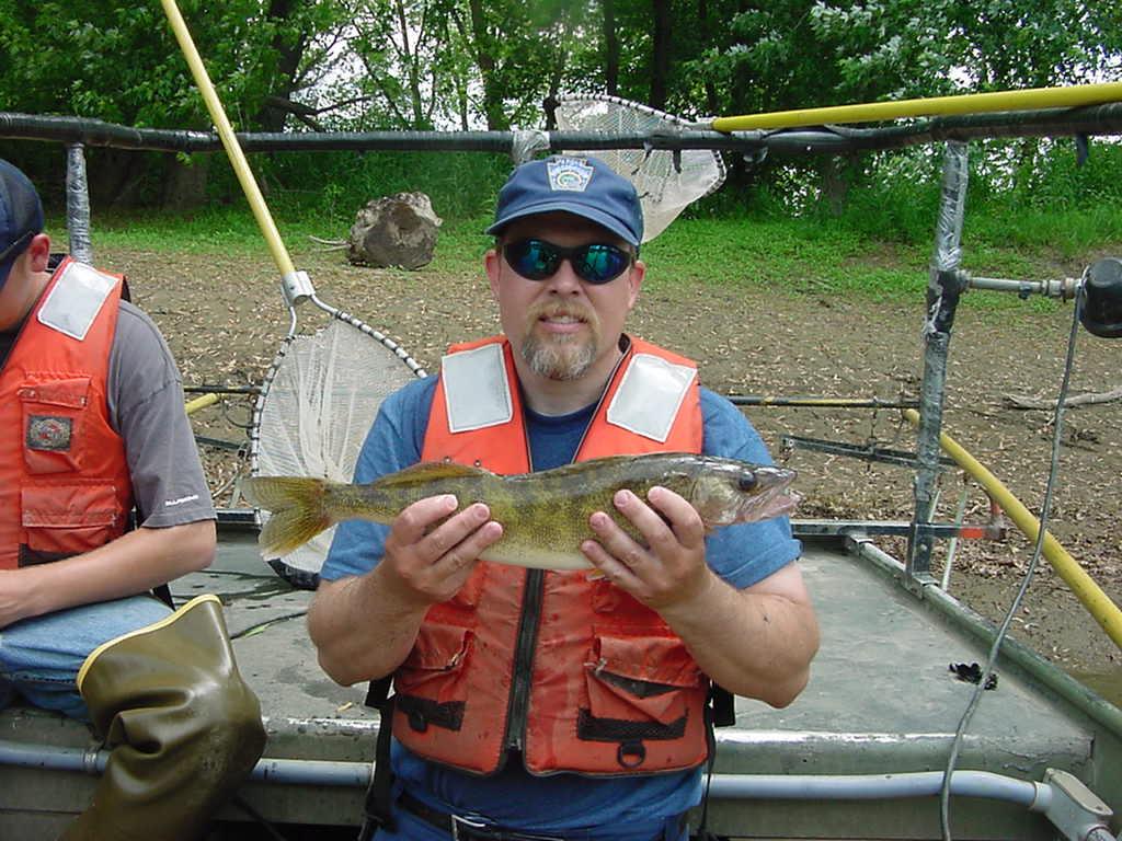 INLAND WALLEYE MANAGEMENT PLAN UPDATE By Pennsylvania Fish and Boat Commission, Fisheries Management Division French Creek Walleye Whether or not you are familiar with the new Pennsylvania Inland