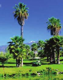 Costa Adeje Championship, Golf del Sur and Amarilla. The cost of this package is 769 euros per person.