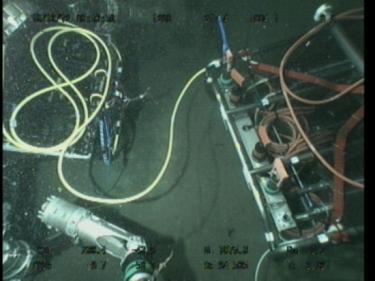 (7) Dive #1200 on 12 October Extension cable laying operation between Node E and observatory E-17 was completed, and booting up of the observatory was performed in this commemorative dive.