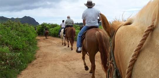 We have everything you want for a family vaca on with your equine: a riding ring, extreme challenge trail course, access to 30+ miles of trails, a horse swimming area, and many other fun and