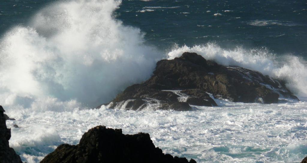 Ucluelet shoreline VANCOUVER ISLAND S GROSS WAVE ENERGY RESOURCE The primary metric that wave energy technology developers, project developers and policy makers need to know is the average amount of